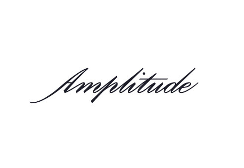 amplitude.jpg (492×340)